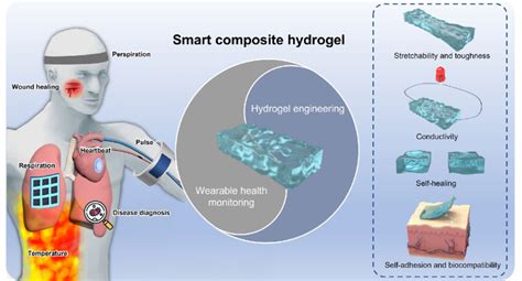 Hydrogel Trong Công Nghiệp Y Tế Và Sức Khỏe: Một Cuộc Cách Mạng Vật Liệu Sinh Học?