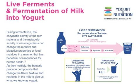  Lactic Acid: A Marvelous Compound for Sustainable Plastics and Delicious Yogurt?