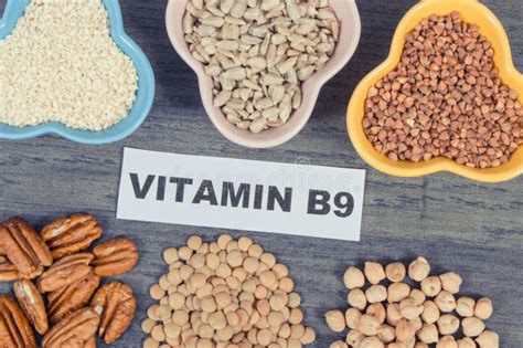 Rau răm: Nguồn cung cấp vitamin và chất xơ tự nhiên cho ngành chế biến thực phẩm!