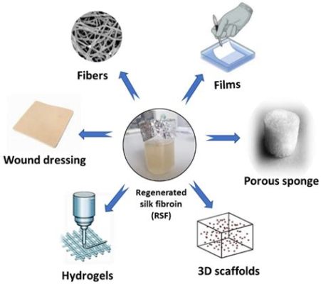  Silk Fibroin: Tăng cường Khả năng Thích nghi Sinh Học và Ứng dụng Trong Công Nghệ Chế tạo